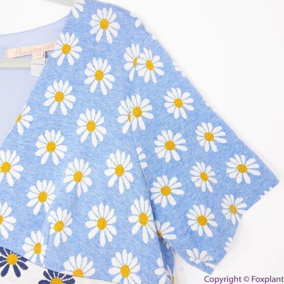 Hutch Anthropologie blue Daisy Rainey Dress V neck‎ short sleeves, size 1X - Picture 8 of 16